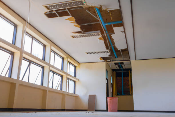 Best Mold removal after water damage  in Sebastian, TX