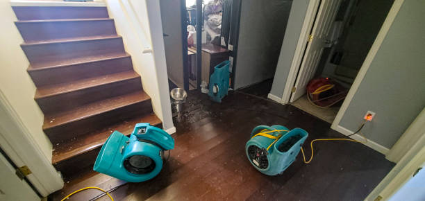 Best Emergency water damage restoration  in Sebastian, TX