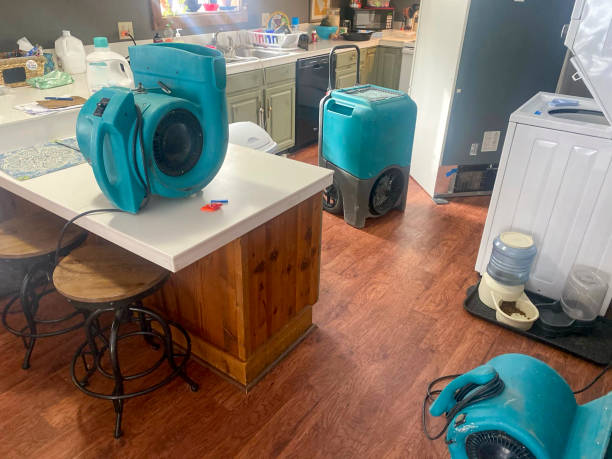 Best Carpet water damage restoration  in Sebastian, TX