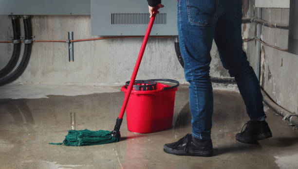  Sebastian, TX Water damage restoration Pros