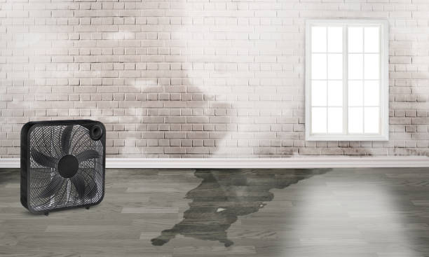 Best 24-hour water damage restoration  in Sebastian, TX