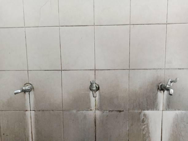 Best 24/7 water damage repair  in Sebastian, TX